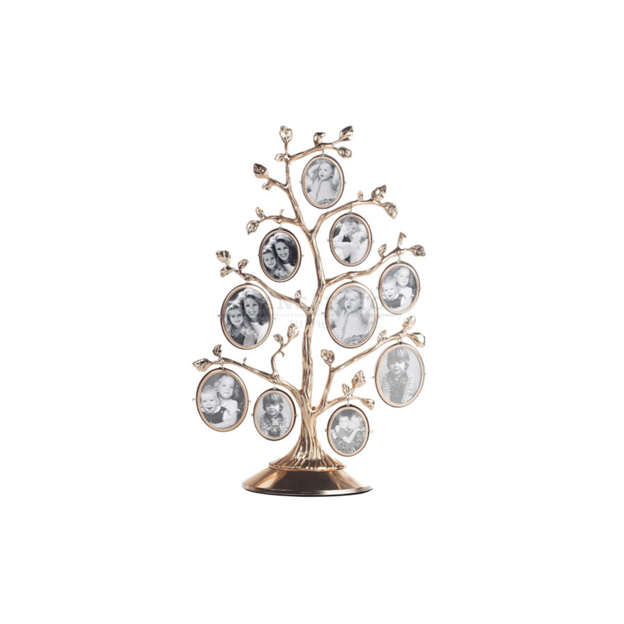 Foto rāmis ck530 Family 10x0 gold