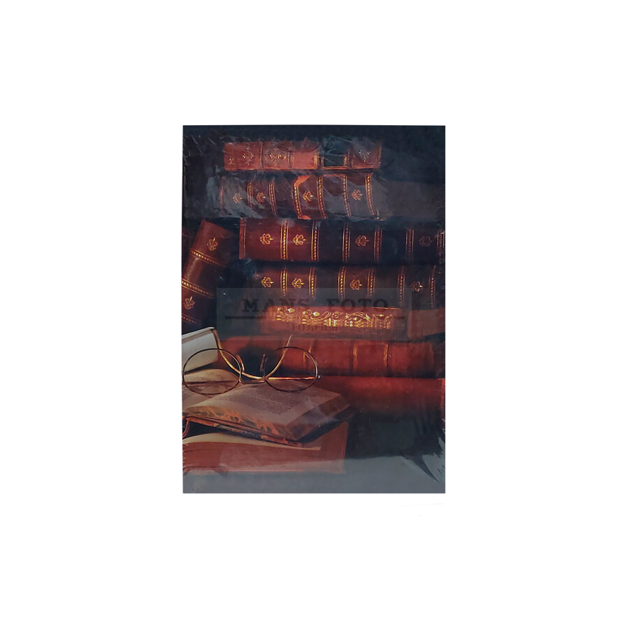 Albums Poldom 10x15/100 assort-53