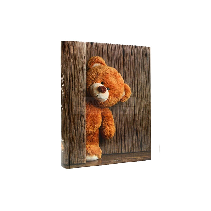 Albums Poldom 10x15/300 ted